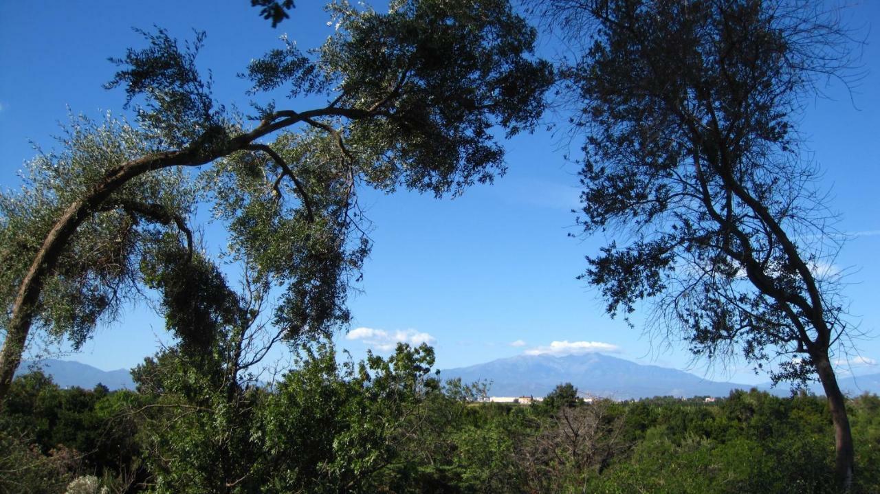 Mas Miraflors Villa Perpignan Buitenkant foto