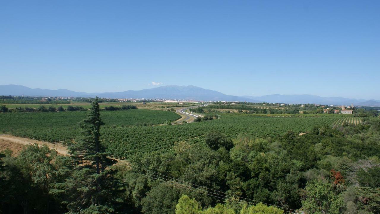 Mas Miraflors Villa Perpignan Buitenkant foto