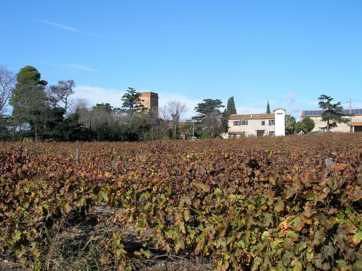 Mas Miraflors Villa Perpignan Buitenkant foto